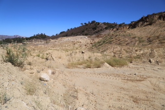 Enlarge photo 73