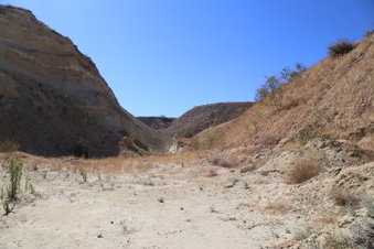 Enlarge photo 71