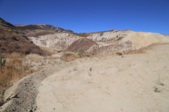 Enlarge photo 61