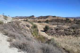 Enlarge photo 39