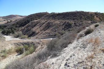 Enlarge photo 34