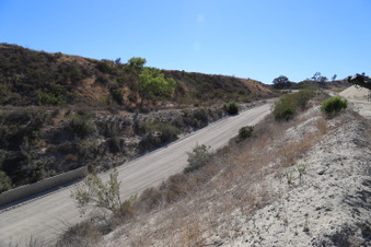 Enlarge photo 19