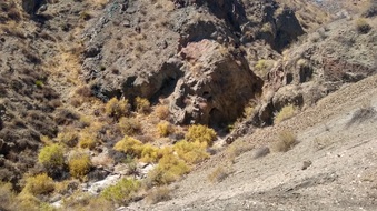 Enlarge photo 2