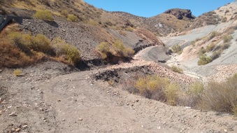 Enlarge photo 10