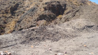 Enlarge photo 17