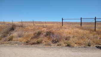 Mystery Mesa