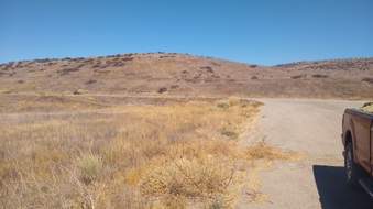 Enlarge photo 13