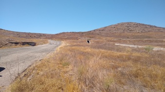 Enlarge photo 15