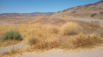 Enlarge photo 16