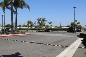 Enlarge photo 40