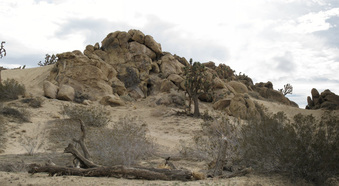 Enlarge photo 8