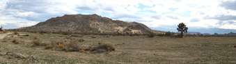 Enlarge photo 10