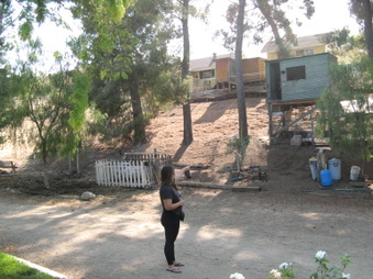 Enlarge photo 4