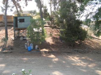 Enlarge photo 5
