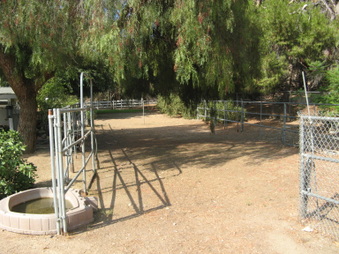 Enlarge photo 40