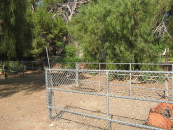 Enlarge photo 41