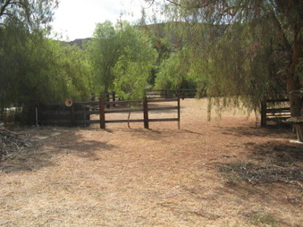 Enlarge photo 52