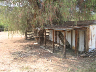 Enlarge photo 53