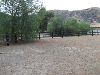Enlarge photo 55