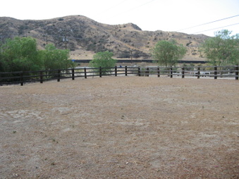 Enlarge photo 56