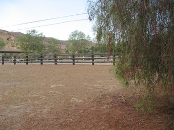 Enlarge photo 57