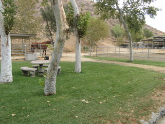 Enlarge photo 17