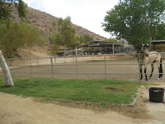 Enlarge photo 18