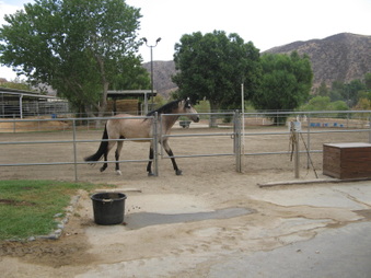 Enlarge photo 19