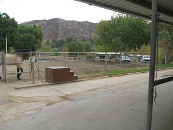 Enlarge photo 20