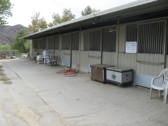 Enlarge photo 23