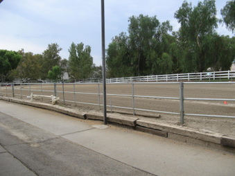 Enlarge photo 25