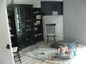 Enlarge photo 53