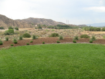 Enlarge photo 64