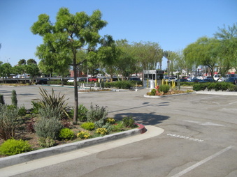 Enlarge photo 33
