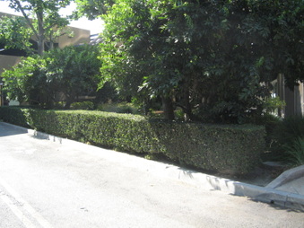Enlarge photo 39