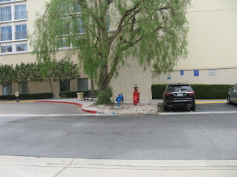 Enlarge photo 11
