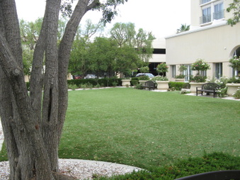 Enlarge photo 26