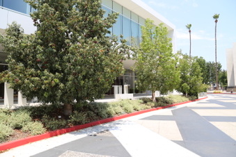 Parking Structure