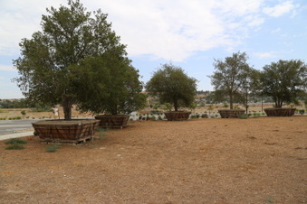 Enlarge photo 73