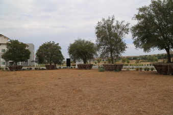 Enlarge photo 84