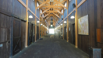 Enlarge photo 8