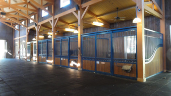 Enlarge photo 19