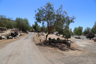 Enlarge photo 47