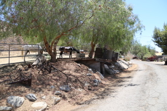 Enlarge photo 49