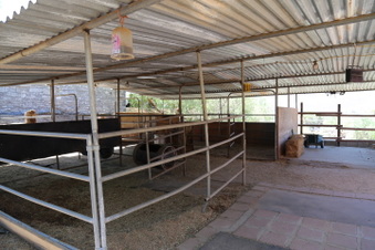 Enlarge photo 70