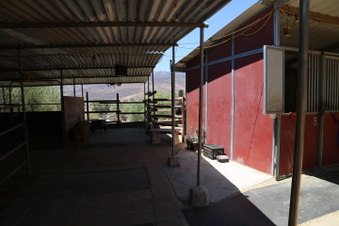 Enlarge photo 71