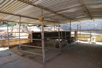 Enlarge photo 79