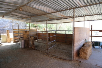 Enlarge photo 81