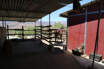 Enlarge photo 82