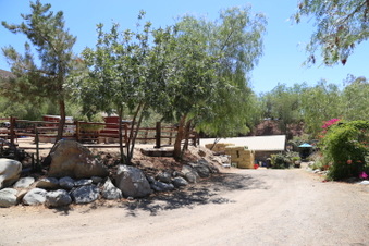 Enlarge photo 90